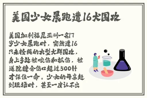 三邦车视第一视频分享门户视